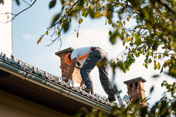 Best Rubber Roofing (EPDM, TPO)  in Sturtevant, WI