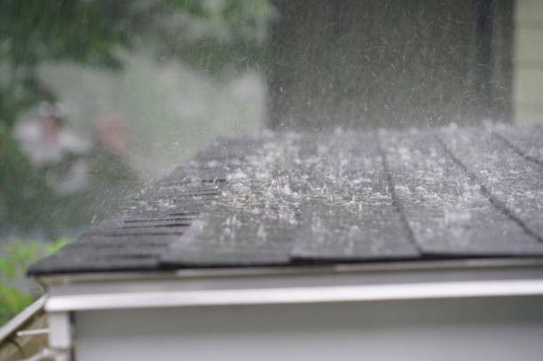 Best Roof Insulation Installation  in Sturtevant, WI