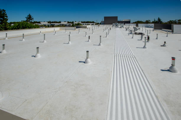 Best Skylight Installation and Repair  in Sturtevant, WI